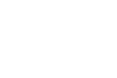 mini-pruna-motor
